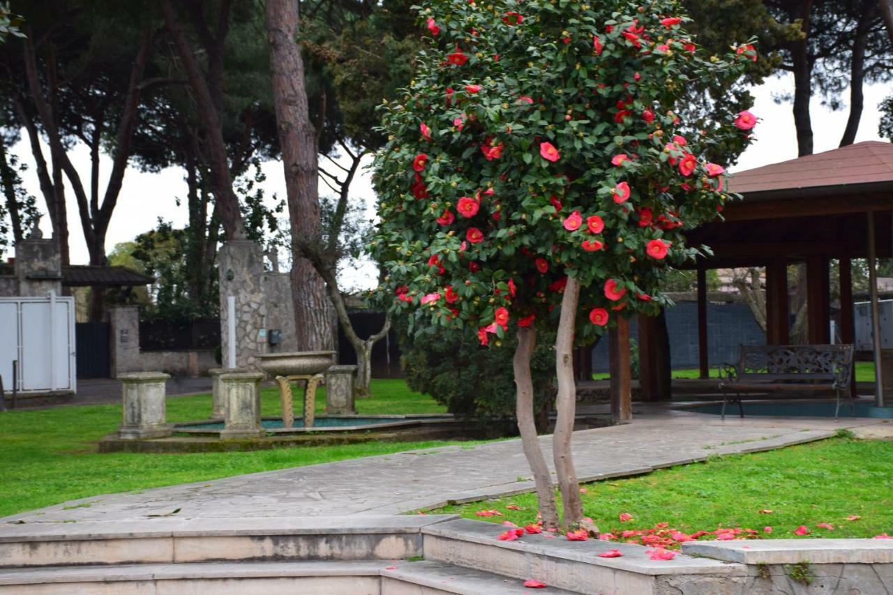 Hotel Mancini Park